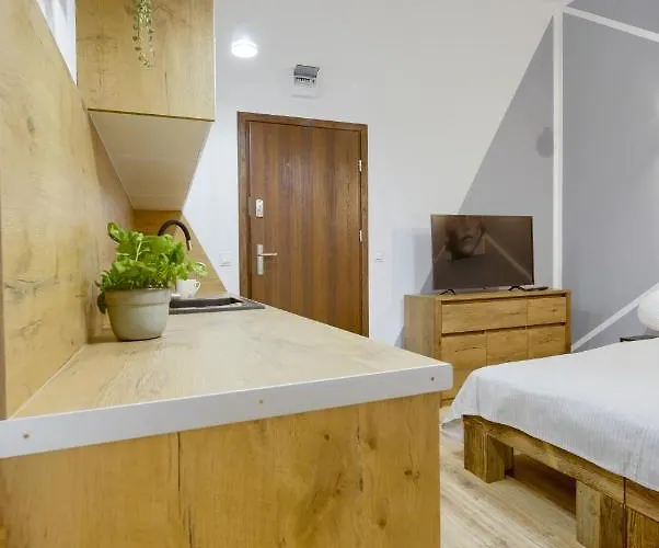 Niron Dom Z Papieru Tokio アパート